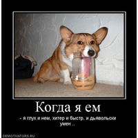 Ð¤Ð¾ÑÐ¾Ð³ÑÐ°ÑÐ¸Ð¸ Ð½Ð° ÑÑÐµÐ½Ðµ ÐÐ½Ð´ÑÐµÑ_496-EXek7i5UVaAwT4Y0qvdNzsCzDUJJKuN8.jpg